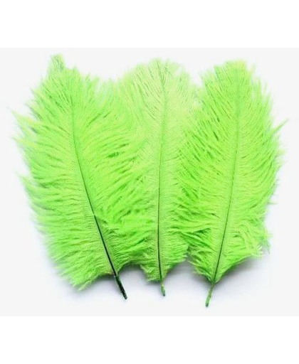 Decoratie Veren Groen - 40 gram