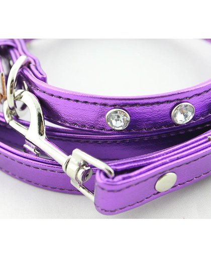 Honden riem met halsband in de kleur paars - L halsband 28-38 cm