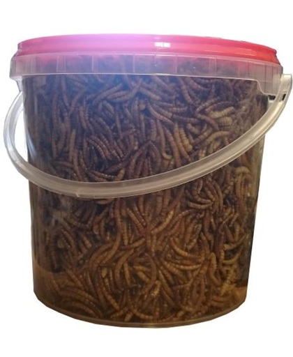 Gevriesdroogde meelwormen - emmer 2,5 liter