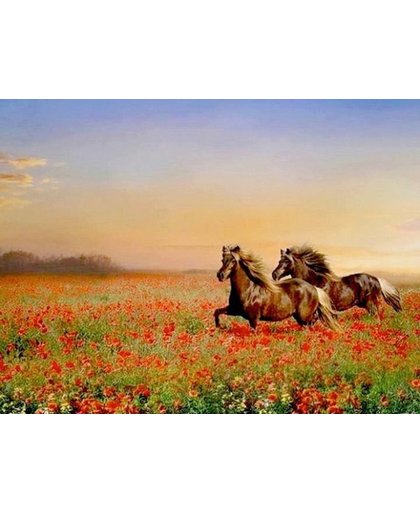 Diamond painting pakket -  Bruine paarden in papaverveld 60X80