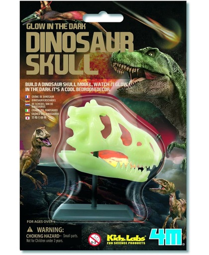 4M KidzLabs Science Card - Dinosaur Skull Glow-in-the-Dark - Hobbyset