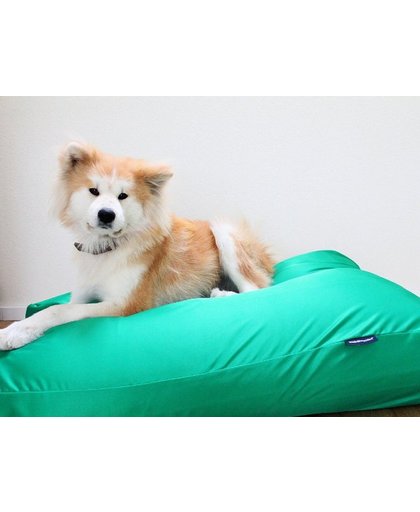 Dog's Companion Hondenkussen waterafstotend en vuilafstotend - M - 90 x 70 cm - Lentegroen