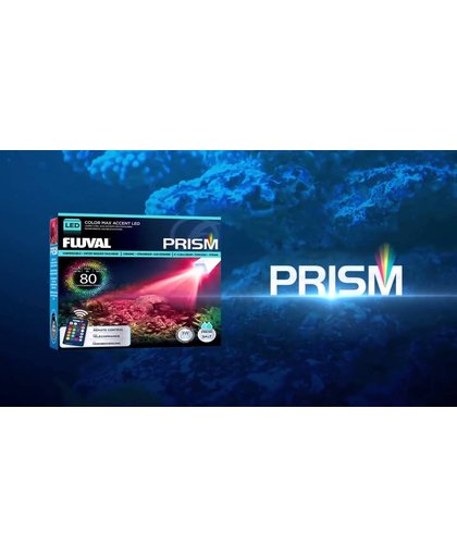 FL LED PRISM 3W