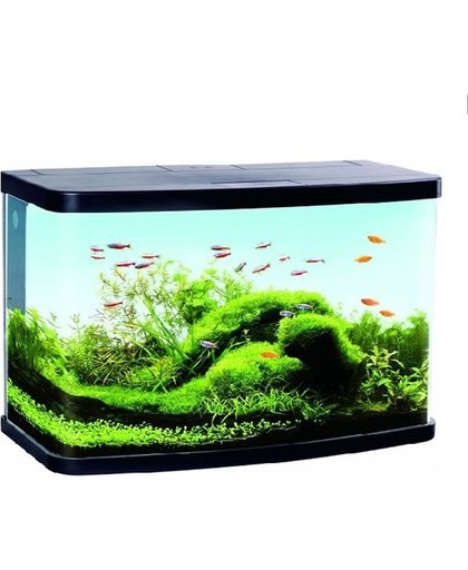 Panoramisch LED Aquarium - 61x30x40 cm - 60L - Zwart