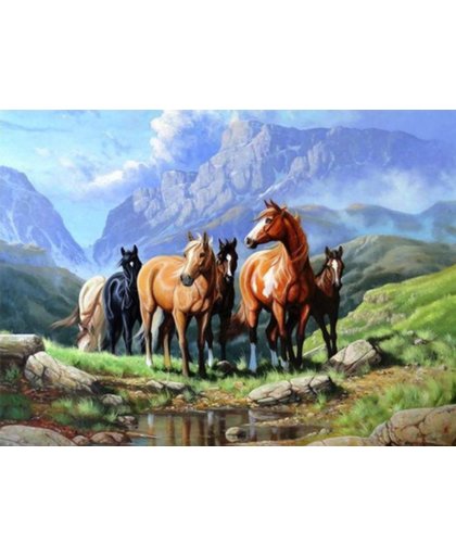 Diamond Painting - Paarden in een veld - FULL - 40x30cm - SEOS Shop ®