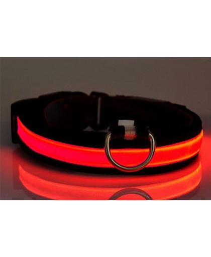 LED verlichte hondenhalsband - rood - maat S