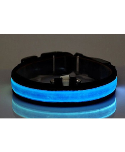 LED verlichte hondenhalsband - blauw - maat S