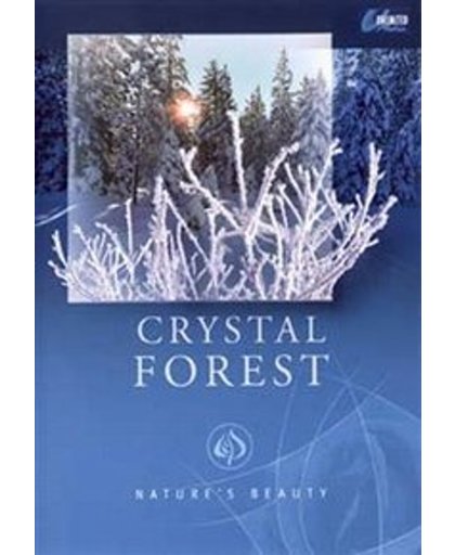 Nature's Beauty - Crystal Forest