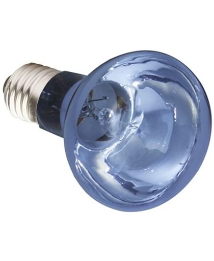Komodo Neodymium Daglicht Lamp - ES 75 Watt