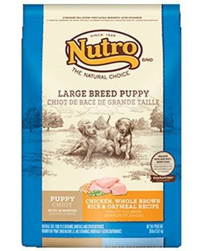 Nutro Choice Puppy Large Kip & Rijst Hondenvoer - Grote Pup - 2 kg