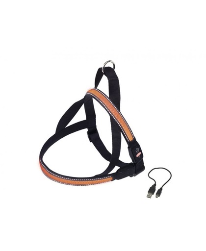 Nobby Verlicht Tuig - Hond - Oplaadbaar - Buikband: 80 tot 100 cm - Borstband: 56 cm - Oranje