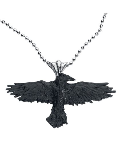 Alchemy Gothic Black Raven Hanger standaard