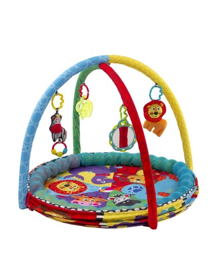 Playgro - Ball Activity Nest - Speelkleed met 5 verschillende opstellingen! - Ballenbak - Speelkleed - Activity Center - PlayGym - Lay & Play