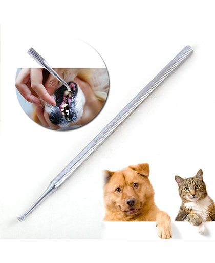 NBH  - Zelf Tandsteen en Tandplak verwijderen bij Hond en Kat met deze tandsteenverwijder tool
