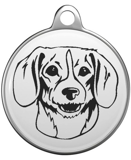 Kerry Beagle Tommy Tag K008