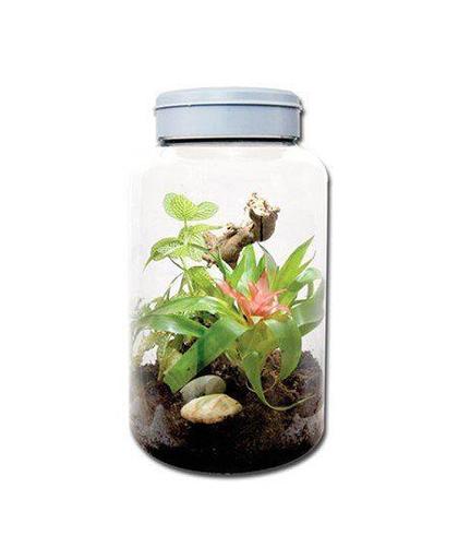 Lucky Reptile InsectTarrium - 5L
