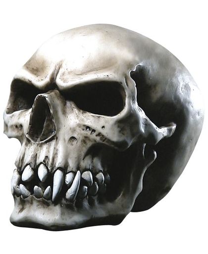 Markus Mayer Orc Skull Decoratieschedel st.