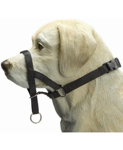 Beeztees Dog Control - Hondenhalsband - Zwart - M-Speciaal