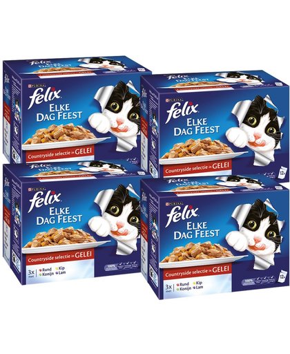 FELIX Elke Dag Feest Vlees - Kattenvoer- 4 x (12 x 100) gr
