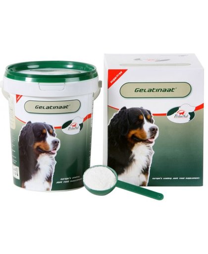 Primeval Artrose Gelatinaat - Soepele gewrichten Hond - 500 gr