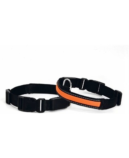 Safety Gear Halsband+Lichtbuis - Hond - 45-66 cm