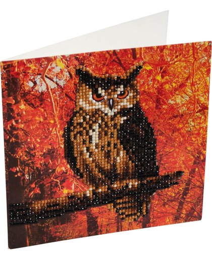 Diamond Painting Crystal Card Kit ® Autumn Owl, 18x18 cm, Partial Painting