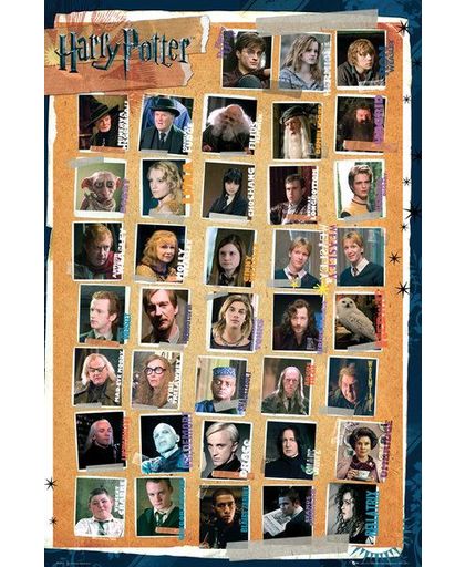 Harry Potter Characters Poster meerkleurig
