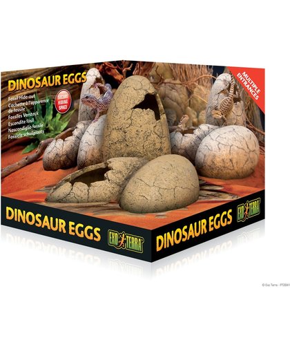 Fossil Hide-out Dinosauer eggs