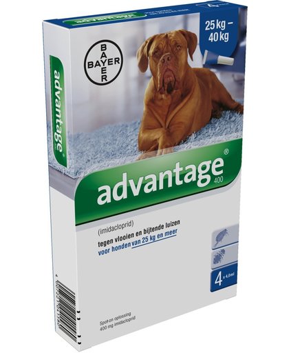 Bayer Advantage Hond 4 Pipetten - 400 VANAF 25 KG