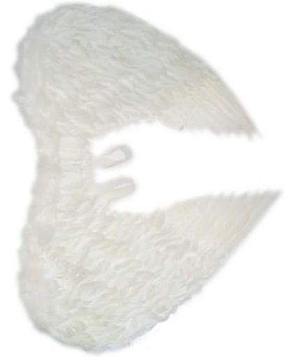 Engelen vleugels witte veren 60 x 75 cm