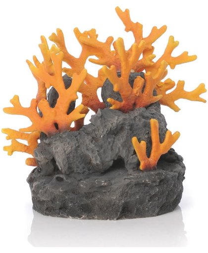Lava - Aquariumdecoratie - Fire Coral