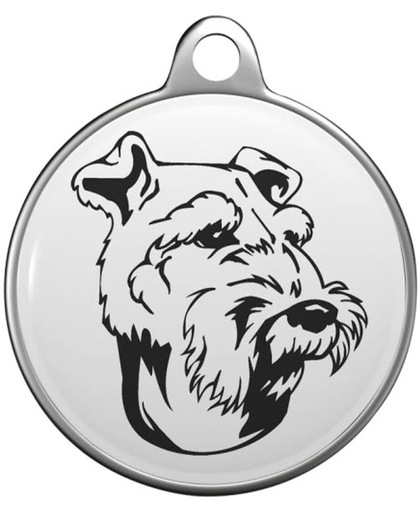 Welsh Terrier Tommy Tag W006
