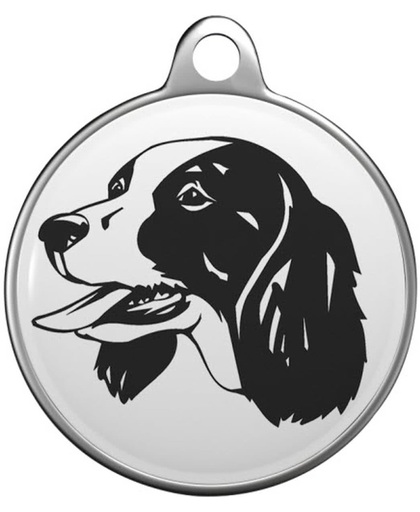 Russische Spaniel Tommy Tag R011