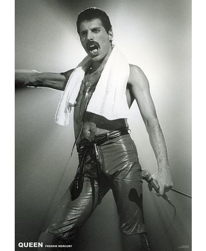 Queen Freddie Mercury Poster st.