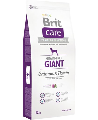BRIT care hypo allergeen giant zalm&aardappel graanvrij 12 kg + 1 kg gratis