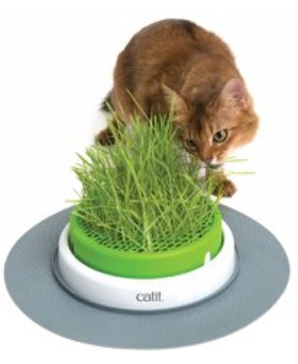 Cat-It Senses 2.0 Grass Planter - Kattengras