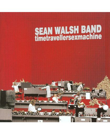 Sean Walsh Band: Timetravellersexmachine