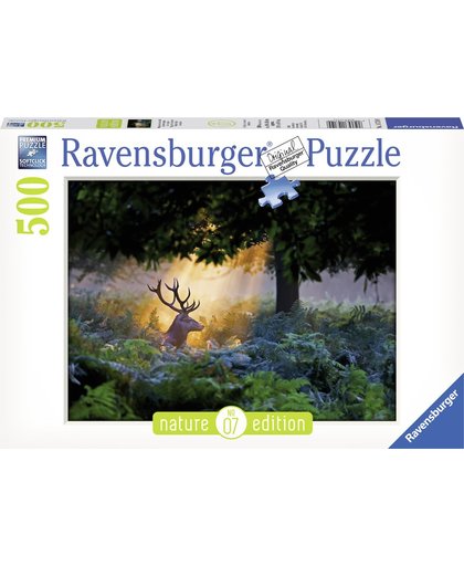 Ravensburger puzzel Magische lichtval, Nature Edition - Legpuzzel - 500 stukjes