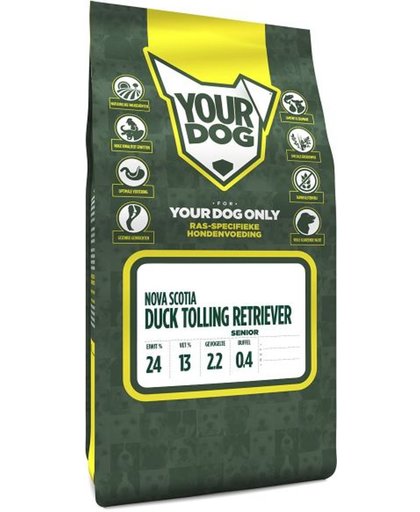 Yourdog nova scotia duck tolling retriever senior