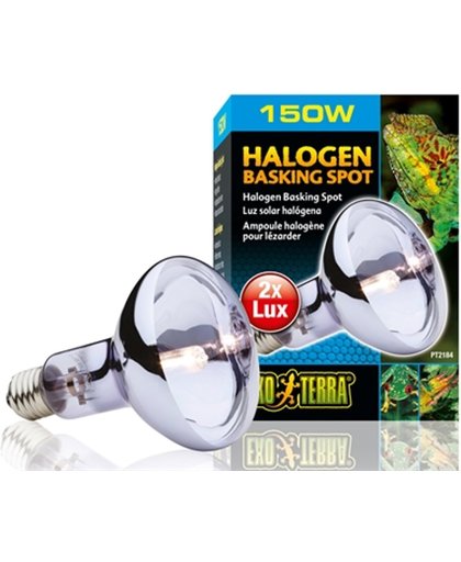 Exo Terra Halogen Basking Spot E27 150 Watt Daylight