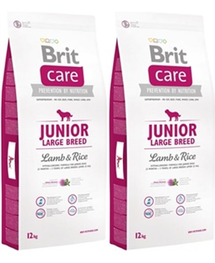 BRIT care hypo allergeen junior large breed lam & rijst 2 x 12 kg