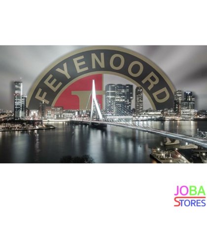 Diamond Painting "JobaStores®" Rotterdam-Feyenoord - volledig - 40x50cm