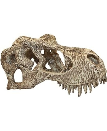 Komodo t-rex schedel Small