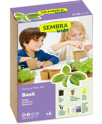 Sembra Kids Basilikum Mini Kit