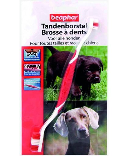 Beaphar Tandenborstel - Hond en Kat - 2 borstels - 2 stuks