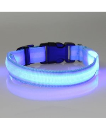 hondenhalsband led verlichting medium blauw