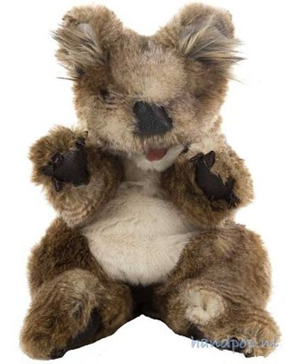 Koala - Folkmanis