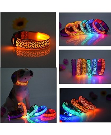 LED honden halsband lichtgevend (oranje dierenprint)