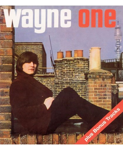 Wayne One + 20