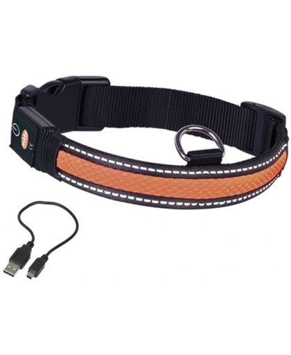 Nobby Verlichte Halsband - Hond - Oplaadbaar - Halsomtrek 45 tot 61 cm - Oranje